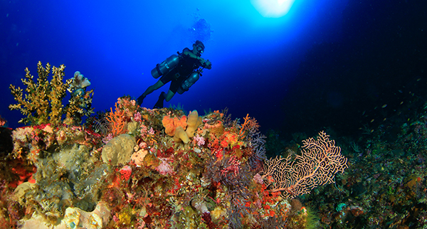 Tulamben, buceo Amed, sidemount, punto de buceo, centro de buceo, curso buceo sidemount