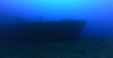 wreck dive kubu