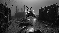 frogfish indonesia, indonesia diving, fun dive, open water