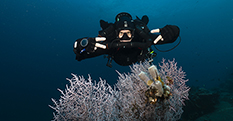 Amed, recreational diving, diving course