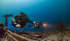 Diving club, Bali diving, artificial reef, puffer fish 